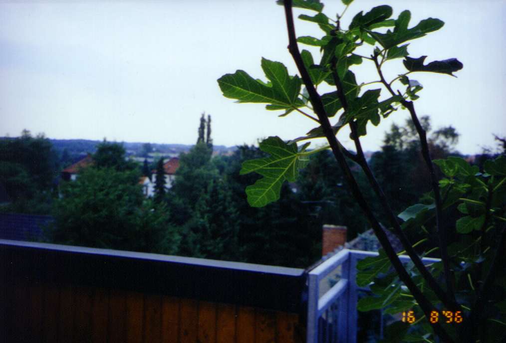 Blick nach Südwesten